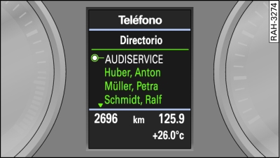 Pantalla del sistema de información para el conductor